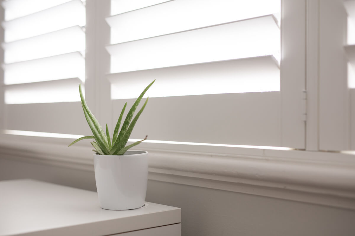 close up of window shutters